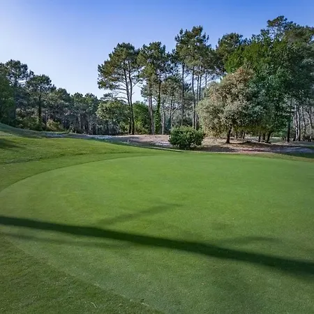Les Pieds Dans L'eau *