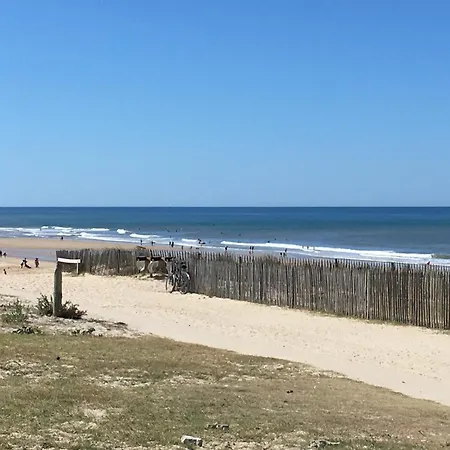 Les Pieds Dans L'eau Lacanau